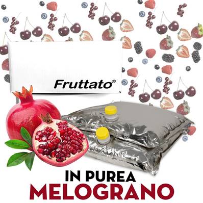 FRUTTATO MELOGRANO PUREA 2x10KG