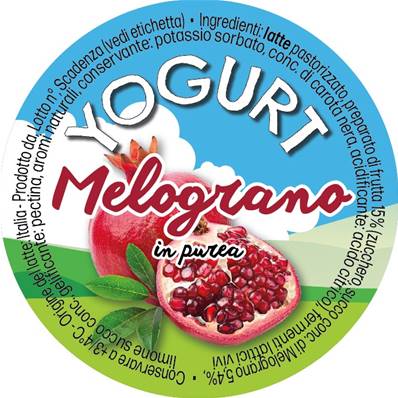 ETICHETTE YOGURT MELOGRANO PUREA 1000 PZ